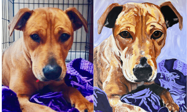 Dog Paint
