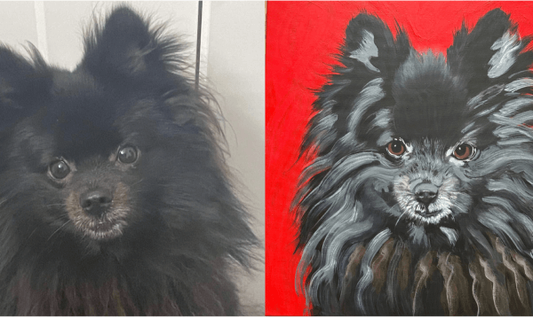 Dog Paint