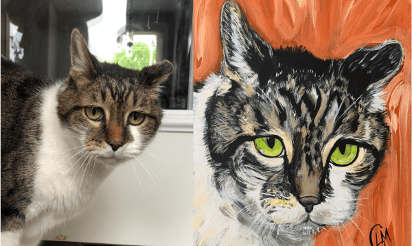 Cat Paint